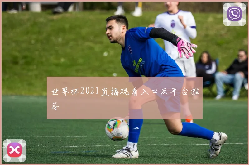 世界杯2021直播观看入口及平台推荐