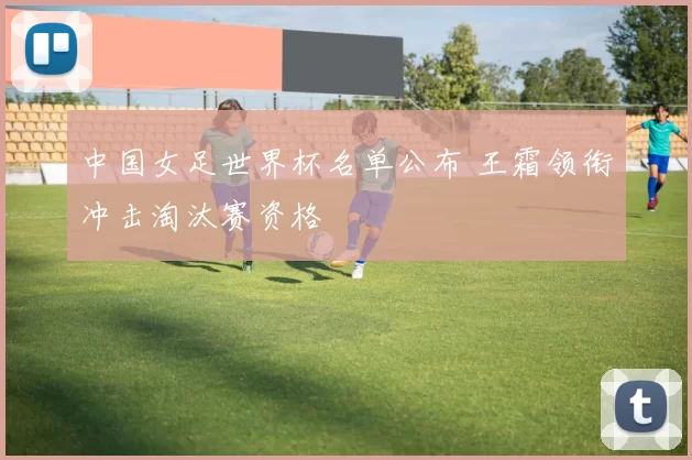 中国女足世界杯名单公布 王霜领衔冲击淘汰赛资格