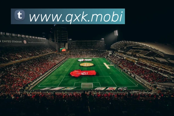 App 展示图